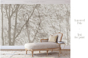 Shadows – wall mural collection, a Wallpaper Graphic by Timofi Art (Thumbnail 11 of 17)