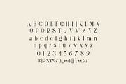 Ghina Ligature Serif Typeface, a Serif Font by yaqublekker (Thumbnail 9 of 10)