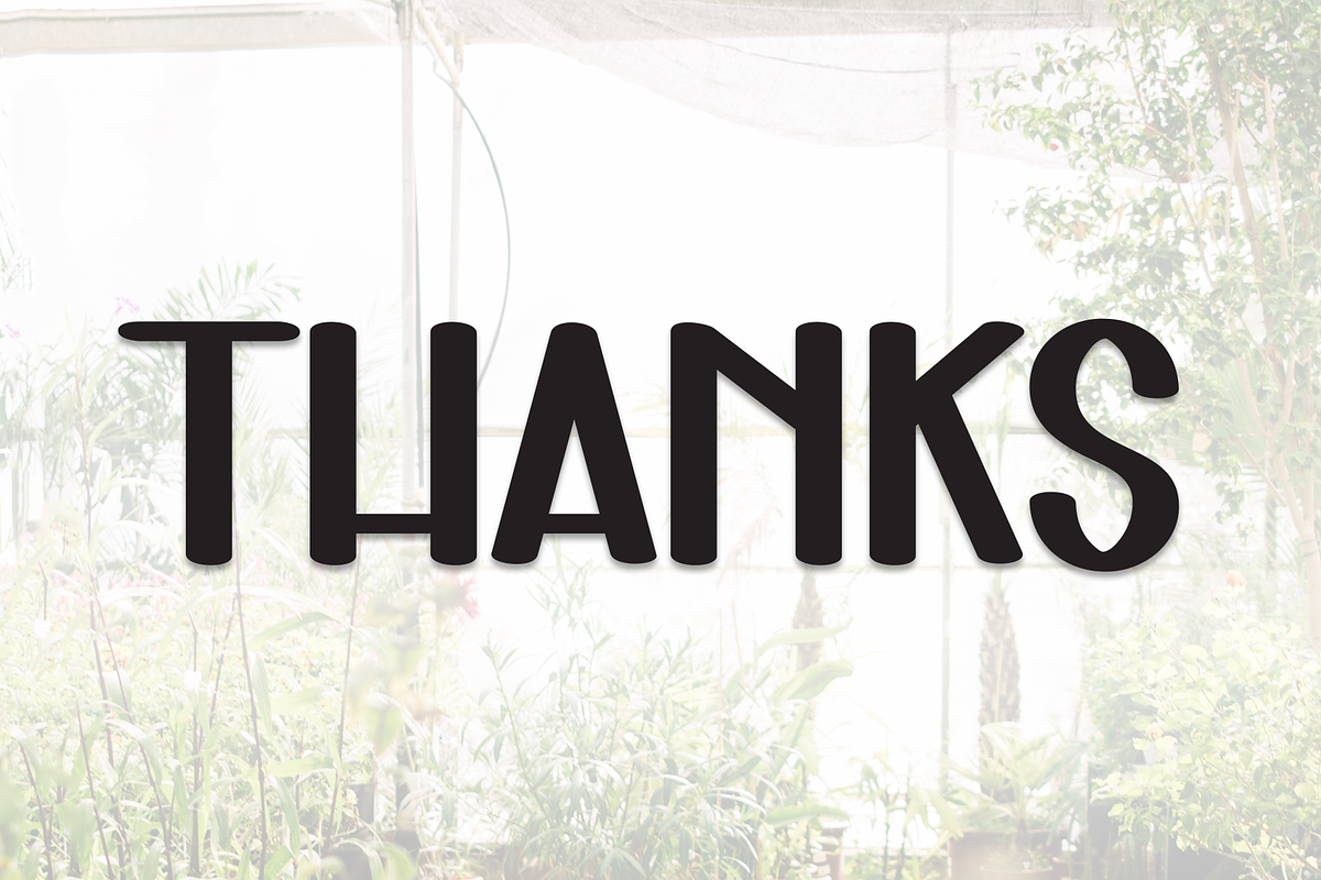 Indoor Garten | Script Font, a Script Font by Scratchones (Photo 8 of 8)