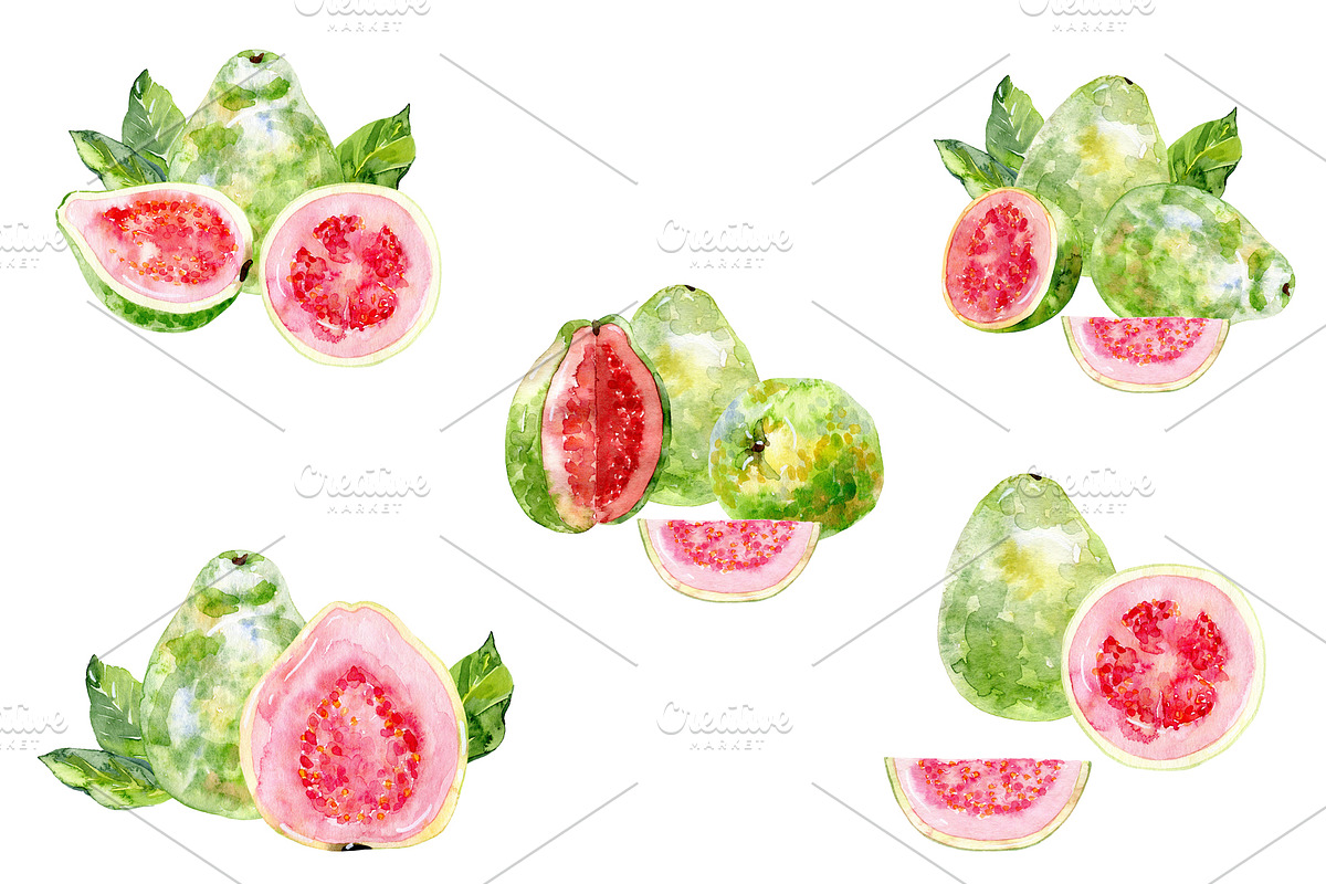 Watercolor tropical fruits., an Illustration by TaPilipa (Photo 12 of 39)