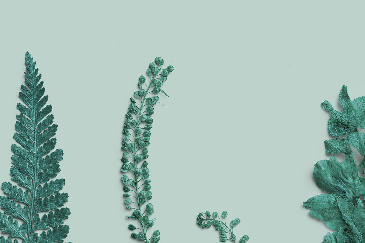 Azure Pressed Botanical PNG Pack, an Object Graphic by Custom Scene (Photo 4 of 8)