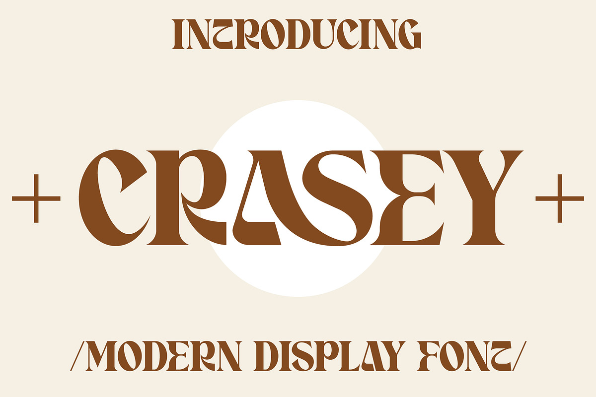 Crasey Modern Display Font, a Serif Font by Storytype Studio (Photo 15 of 15)
