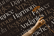 Unique Elegant Luxury Font - Magenta, a Serif Font by Sensatype (Thumbnail 7 of 12)