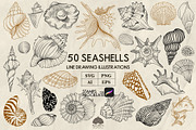 Seashells line art + Procreate, an Animal Illustration by Skliarova (Thumbnail 1 of 3)