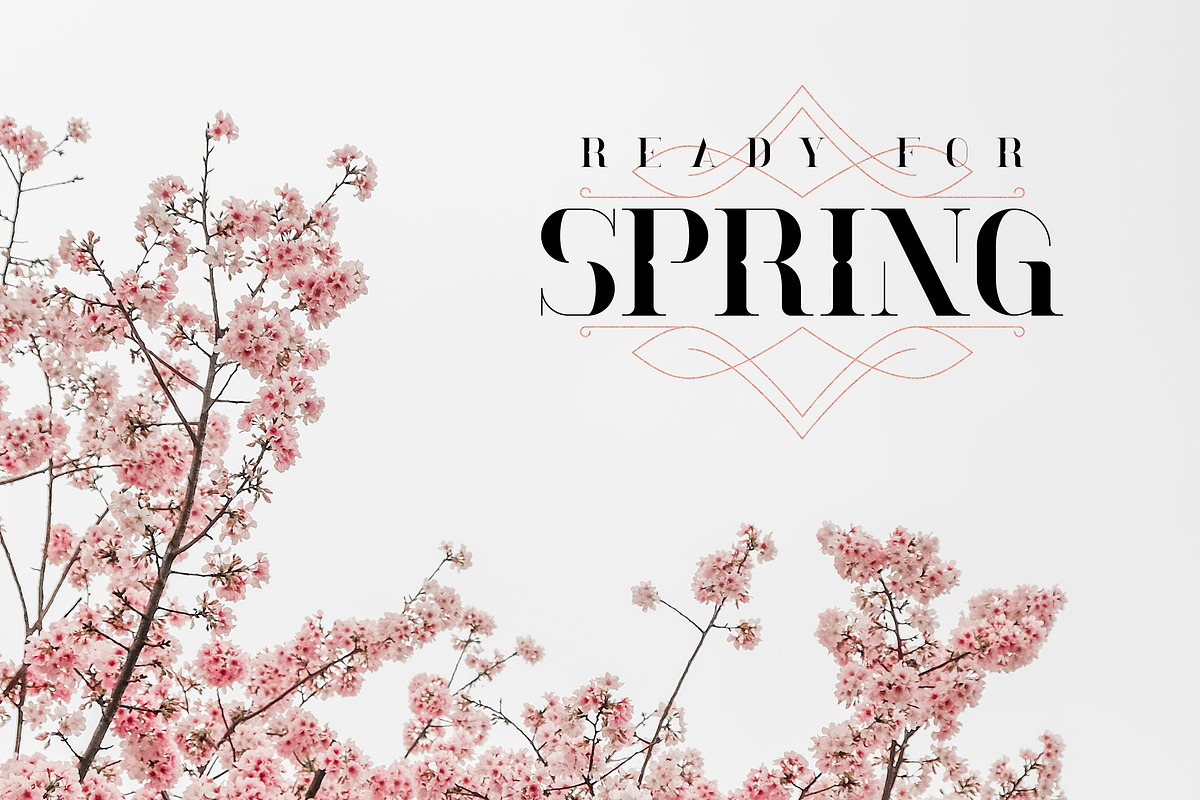 Momentus serif font + Extras preview 3
