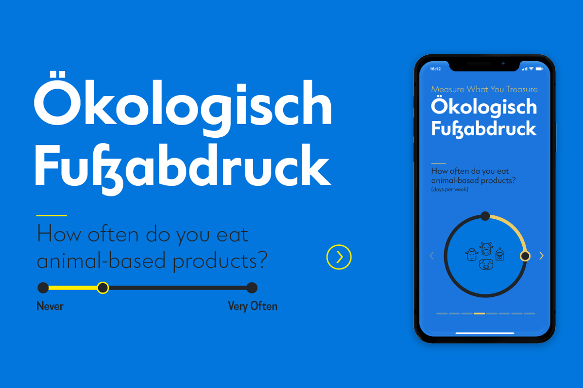 Klein - 54 fonts, a Sans Serif Font by Zetafonts (Photo 9 of 16)