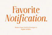 Favorite Notification, a Serif Font by Prioritype Co (Thumbnail 43 of 43)