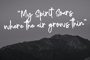 Reginy - Textured Brush Font, a Script Font by StringLabs (Thumbnail 2 of 8)