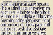 Sparked | Modern Serif Font, a Serif Font by 177Studio (Thumbnail 7 of 8)