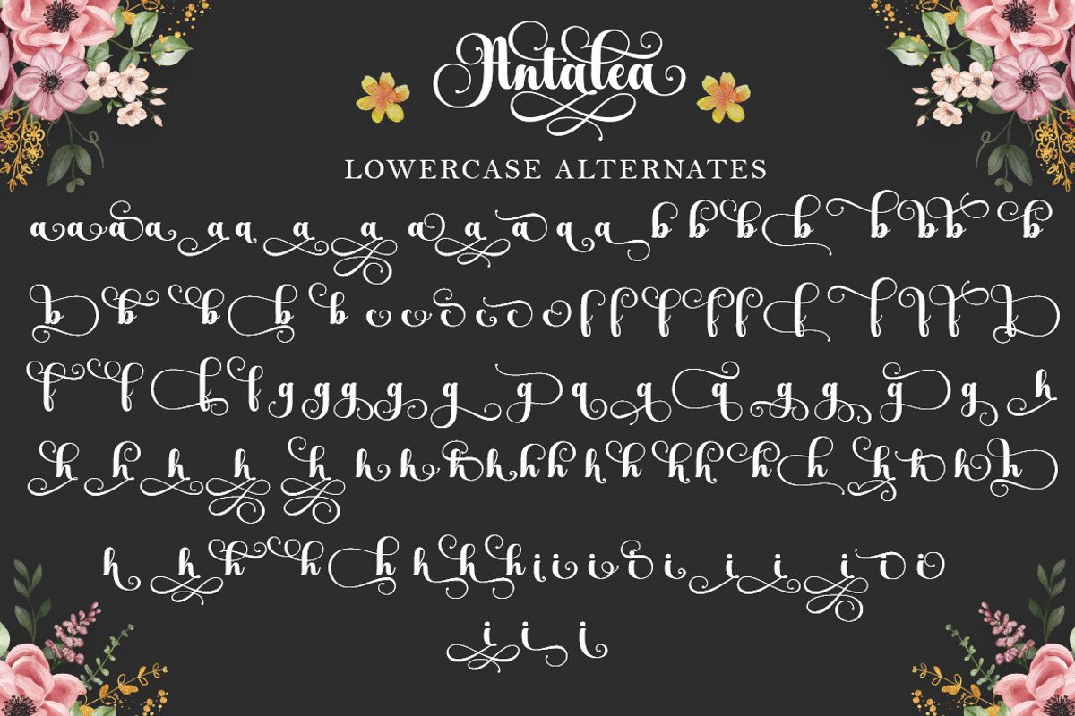 Antalea, a Script Font by IM Studio (Photo 10 of 12)