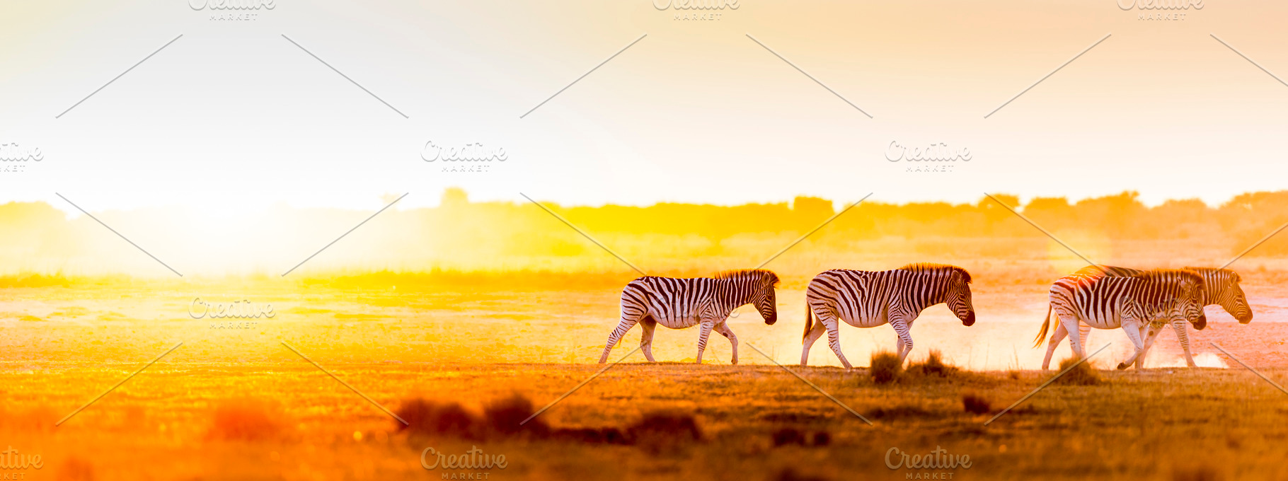 Africa Sunset Landscape, an Animal Photo by THP Creative