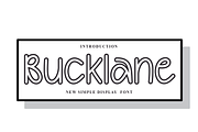 Bucklane, a Sans Serif Font by FreshTypeINK (Thumbnail 1 of 8)