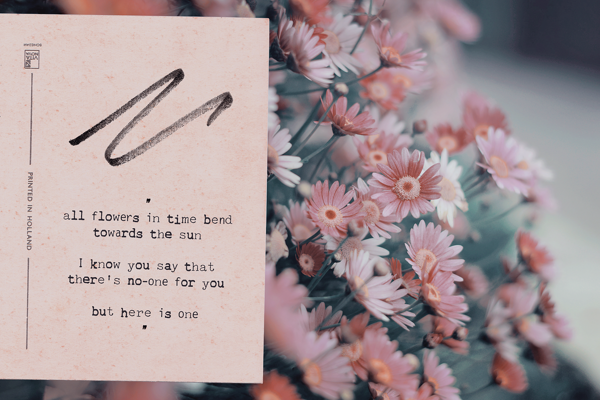 Mixed-up SVG Typewriter Font, a Serif Font by Ana's Fonts (Photo 6 of 9)