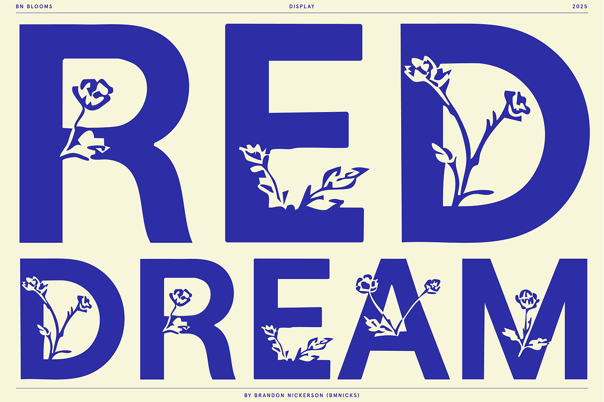 BN Blooms, a Sans Serif Font by Bnick (Photo 6 of 17)