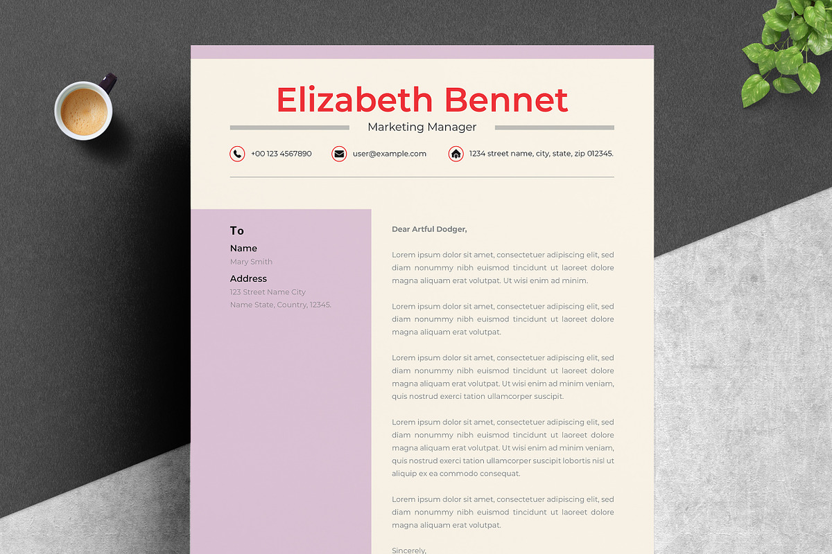 Academic Resume with Modern Look preview 3