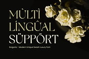 Bulgaria Modern Unique Swash Luxury, a Serif Font by Sensatype (Thumbnail 12 of 12)