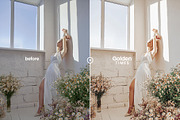 Golden Times - Actions and Presets, a Preset Add-On by Hydrozi Presets (Thumbnail 6 of 7)