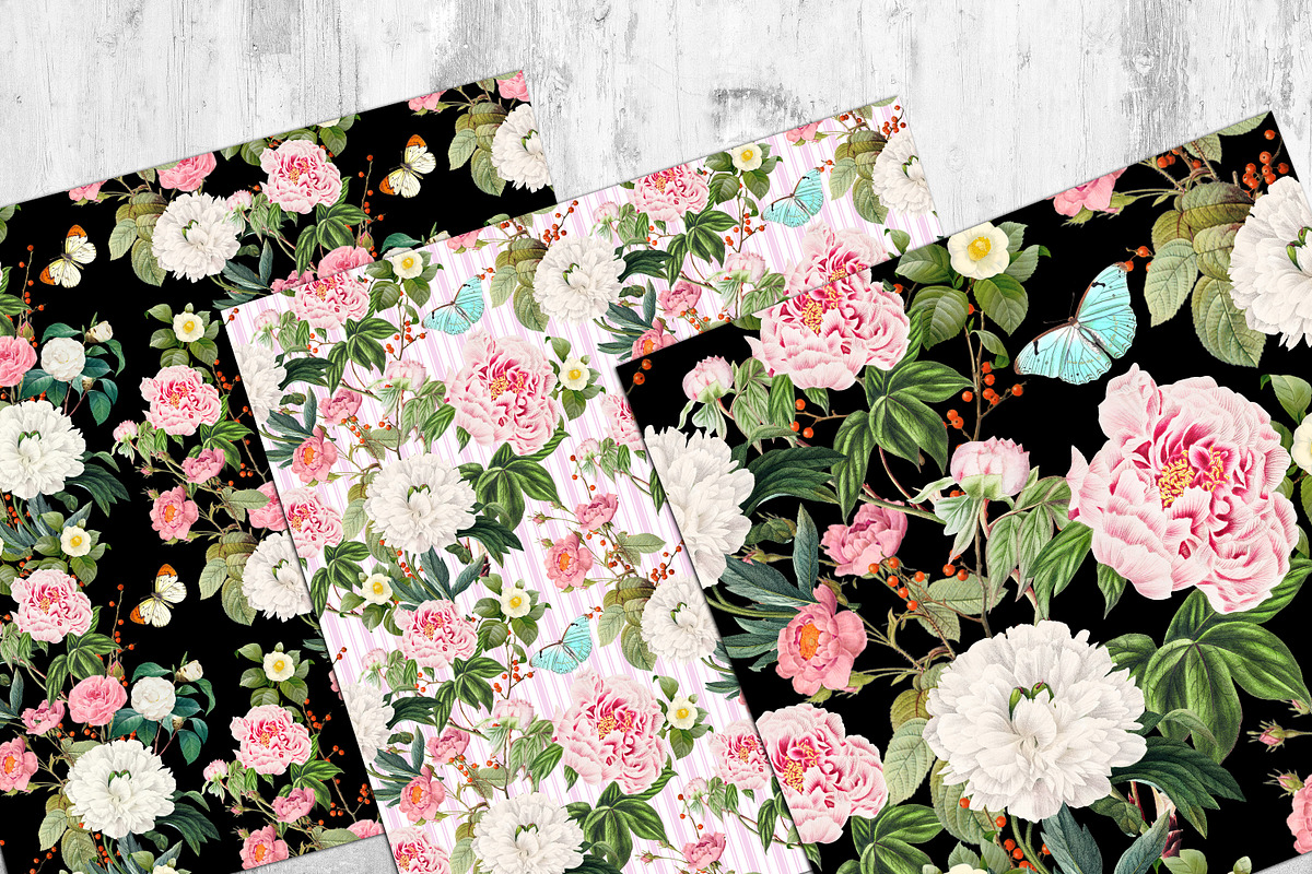 Peony Seamless Pattern, a Pattern Graphic by NastiaDesignsPrints (Photo 9 of 11)
