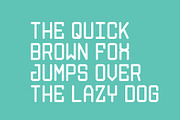 System Code, a Serif Font by Alt Foundry (Thumbnail 2 of 2)