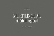 Bridget, a Serif Font by Cruzine (Thumbnail 9 of 9)