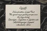 Cenville Edition, a Script Font by StudioRhd (Thumbnail 8 of 8)
