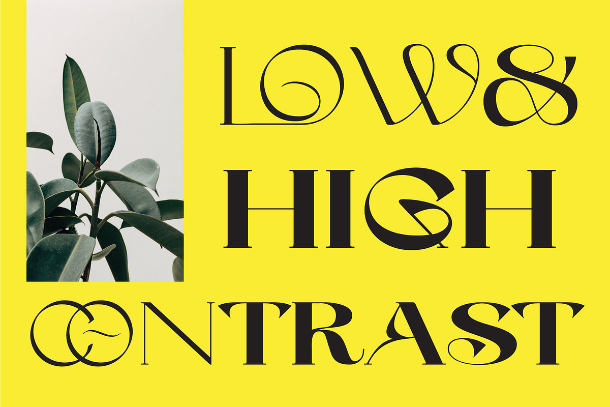 Wave Vero - Elegant Typeface, a Sans Serif Font by AuthenType (Photo 8 of 12)