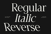 CS Alland – Classic Serif Font, a Serif Font by Craft Supply Co. (Thumbnail 6 of 8)