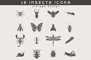 16 Insect Logos