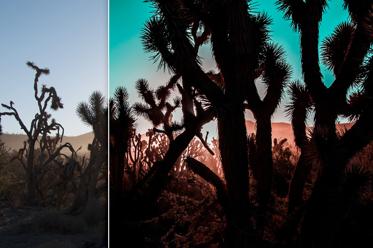Orange & Teal Lightroom Presets, an Action Add-On by PhotoMarket (Photo 9 of 42)