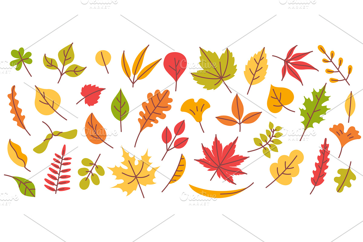 Autumn leaves. Fall season leaf, an Illustration by winwin.art