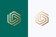 Hexagonal Geometric Linear Logo, a Branding & Logo Template by Signatoro (Thumbnail 1 of 3)
