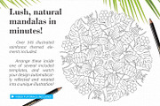 Rainforest Illustration Creator, a Plug-in Add-On by Drifter Studio (Thumbnail 4 of 9)