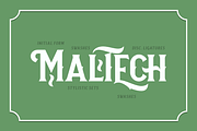 Neue Stanley, a Serif Font by Twicolabs Fontdation (Thumbnail 8 of 11)
