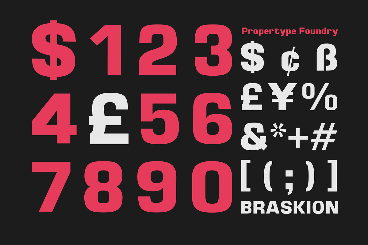 Braskion, a Sans Serif Font by Propertype (Photo 2 of 15)