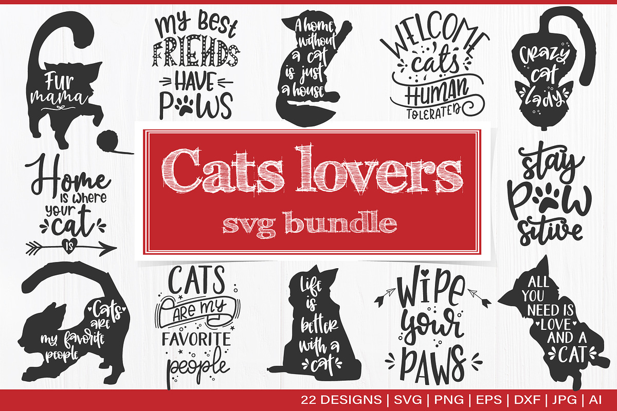 Funny Cat bundle / Cat lovers, an Animal Illustration by Tatti Graphic Studio (Photo 1 of 3)