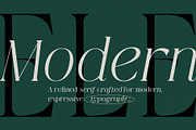 Qlaxe Serif – Update Italics, a Serif Font by Nollev (Thumbnail 3 of 14)