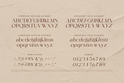 Mortgage Family Serif Font, a Serif Font by Graphicxell (Thumbnail 8 of 8)