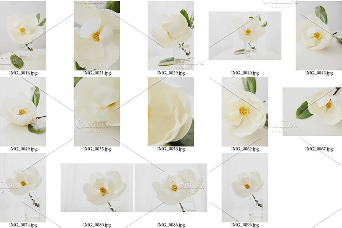 Artful Magnolia Styled Stock, a Nature Photo by Susie Design Co (Photo 2 of 2)