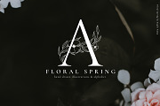 Floral Spring alphabet illustrations, an Illustration by Angele Kamp (Thumbnail 11 of 11)