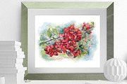 SALE! Watercolor Apple quince, a Decorative Illustration by MaryAmi (Thumbnail 3 of 3)