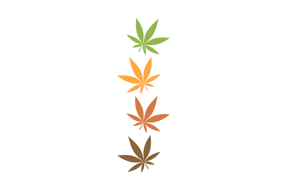 Marijuana Leaf Logo, a Branding & Logo Template by Rhealea_Design