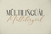 Rematho Klorofiland Duo Font, a Serif Font by Storytype Studio (Thumbnail 10 of 15)