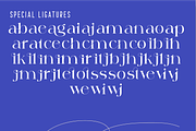 against font, a Serif Font by 177Studio (Thumbnail 5 of 6)