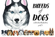 Breeds of dogs - watercolor. Part 3, an Animal Illustration by KatBranchArt (Thumbnail 1 of 5)