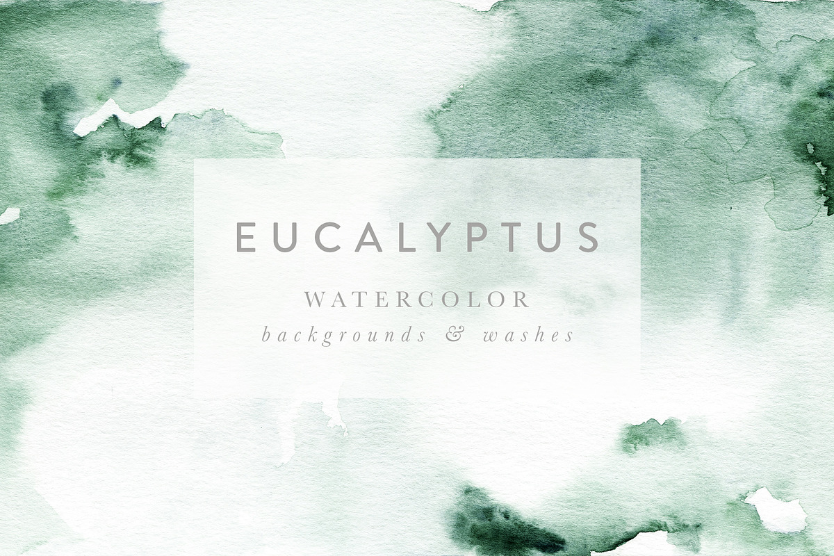 Scent of Eucalyptus - Graphic Set, an Illustration by studioequinox (Photo 17 of 21)