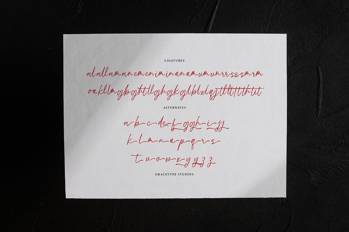 Boudica Perfect | Handwritten Script, a Script Font by gracetype_studio (Photo 12 of 12)