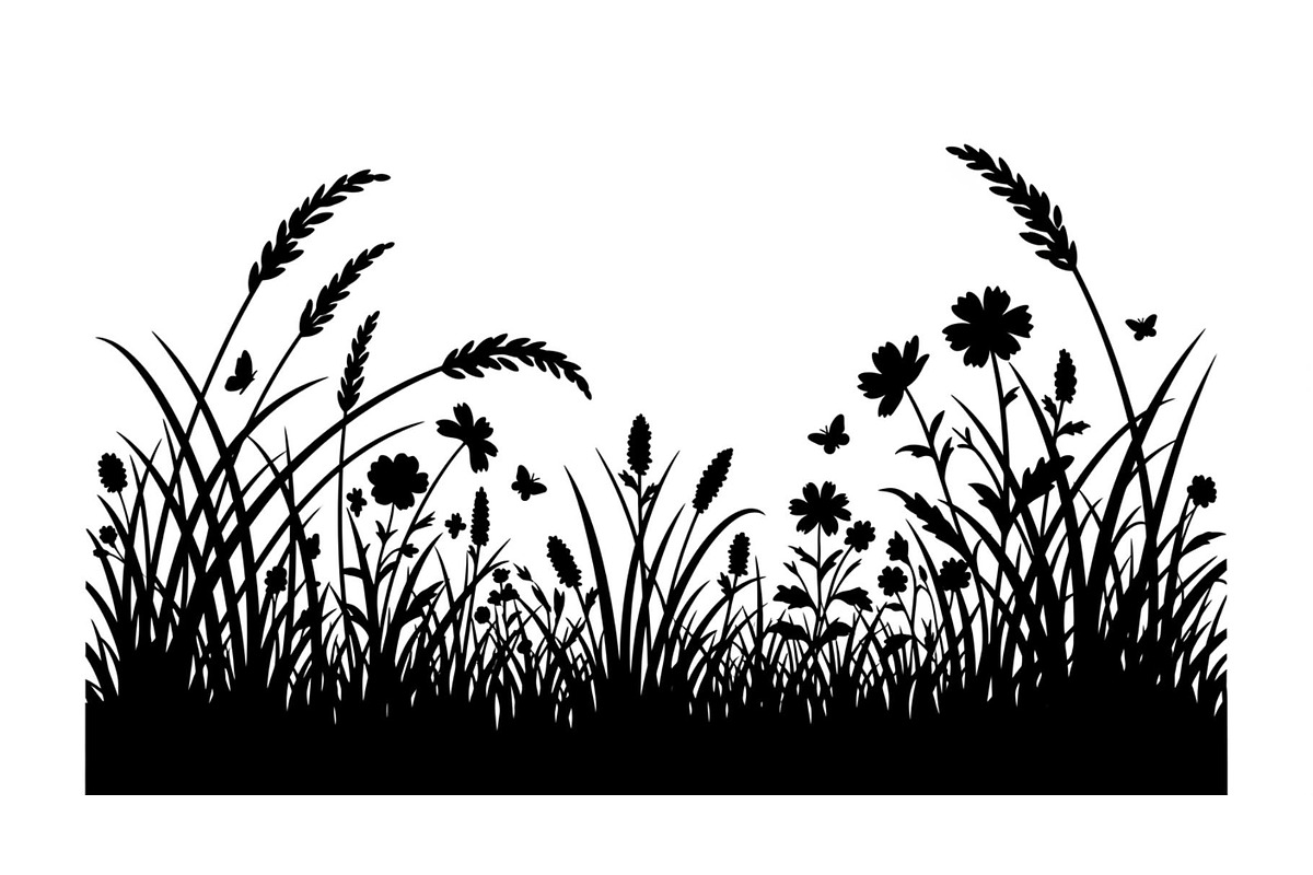 Floral Grass Border Silhouette Bundl, an Illustration by Amazin_art (Photo 40 of 51)