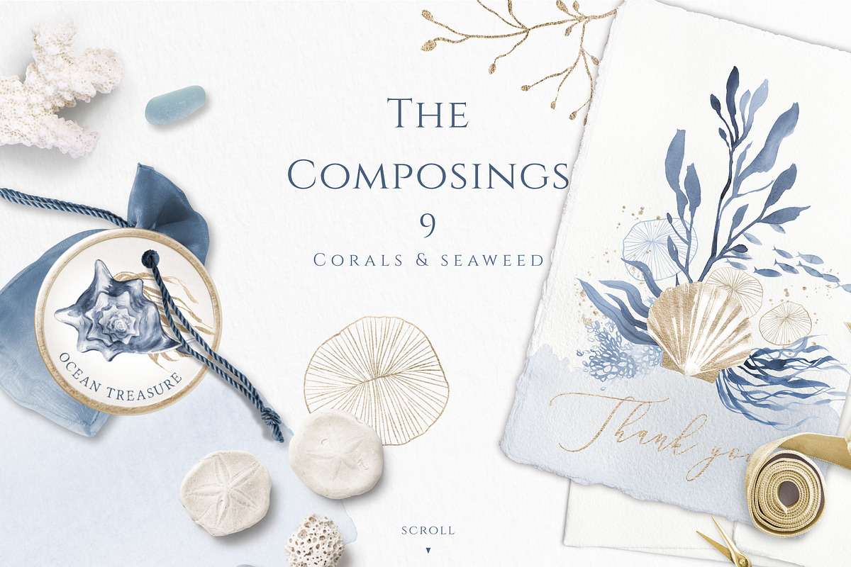 Ocean Memories Underwater Collection, an Animal Illustration by beehouse studio (Photo 8 of 12)