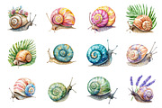 Watercolor Snail Clipart, an Illustration by Design Market (Thumbnail 2 of 4)