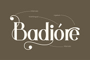 Aurenza - Modern Serif Font, a Serif Font by Rishsketch (Thumbnail 4 of 15)